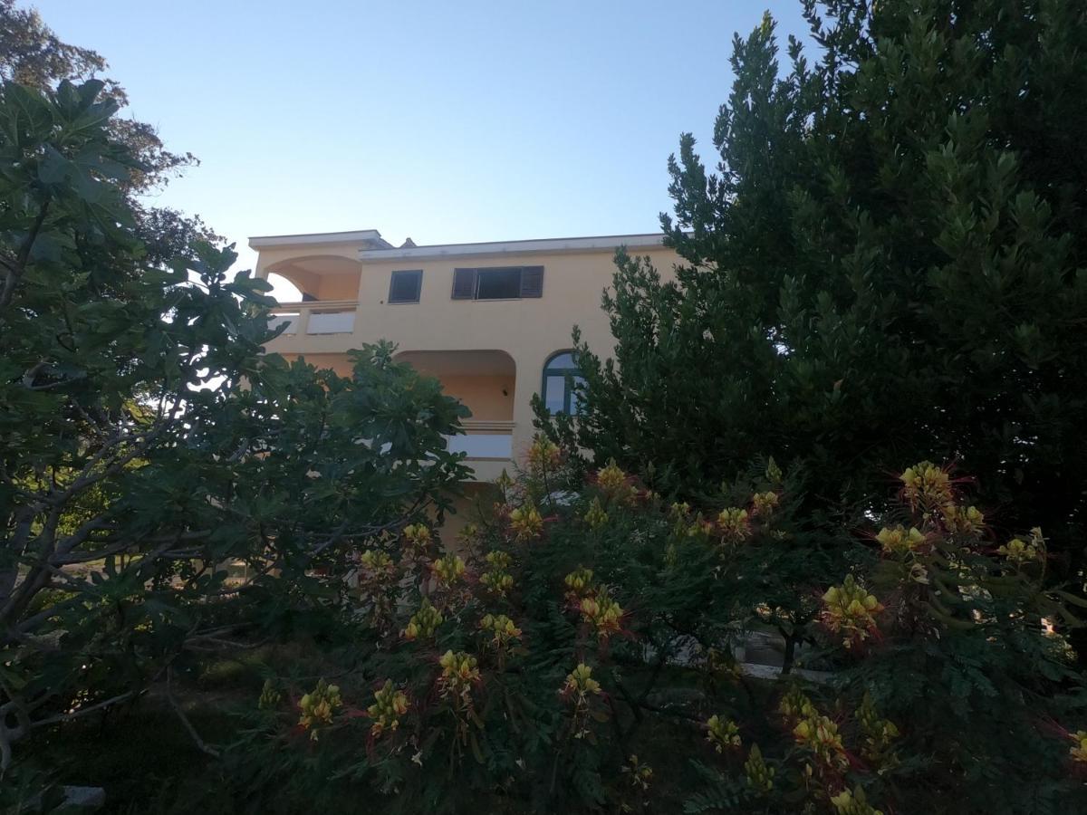 Apartmani Bosiljka Nin Esterno foto